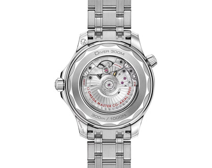 Diver 300M Master Chronometer – 42mm Black Dial | Premium Dive Watch