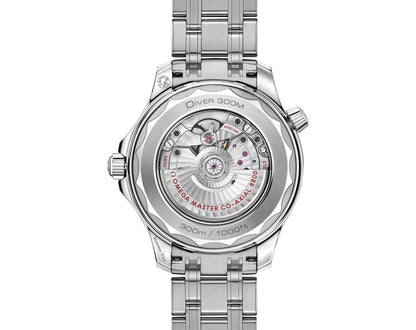 Seamaster Diver 300M – 42mm Steel on Steel | Premium Men's Dive Watch