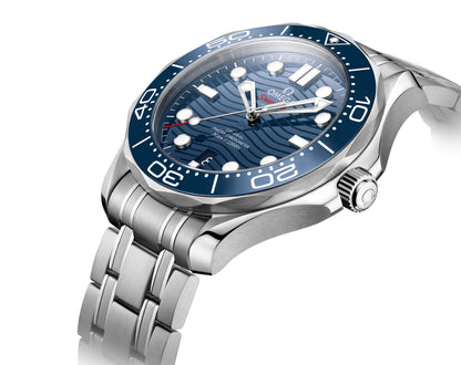 Seamaster Diver 300M – 42mm Steel on Steel | Premium Men's Dive Watch