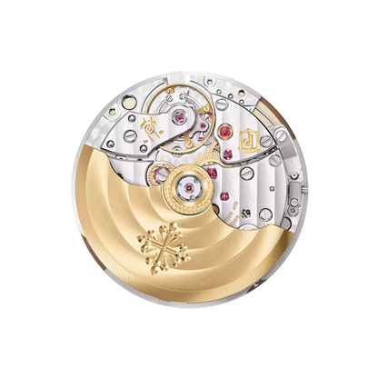 Aquanaut-Inspired Sporty Steel Watch – Automatic | Blue, Black, Brown & Green Options